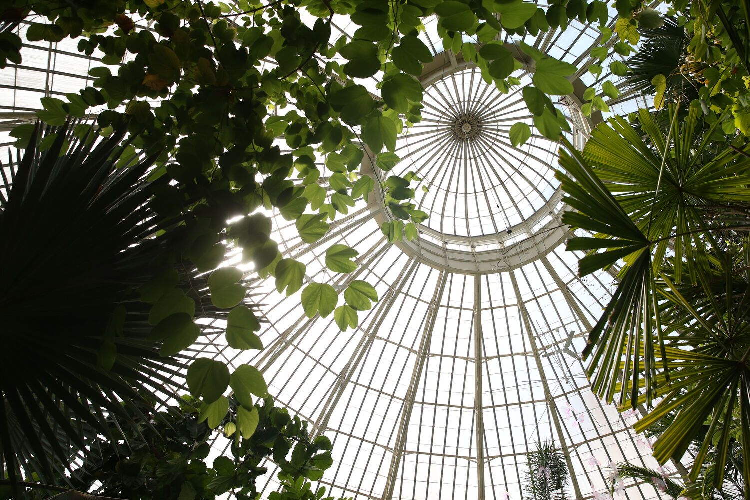 Looking up at a dome